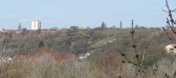 Troopers Hill LNR from Eastwood Farm